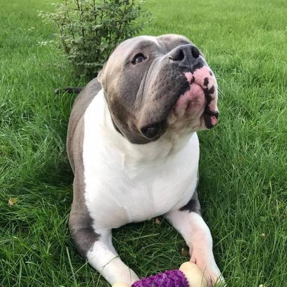 Meet your Posher, Janet - Picture 1 of 1